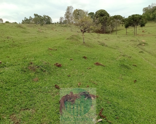 Imagem Imóvel com 2 Quartos à Venda, 150.000 m² em Rural - Jacuí Imagem Imóvel com 2 Quartos à Venda, 150.000 m² em Rural - Jacuí