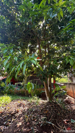 Imagem Imóvel com 2 Quartos à Venda, 995 m² em Corrupira - Jundiaí Imagem Imóvel com 2 Quartos à Venda, 995 m² em Corrupira - Jundiaí