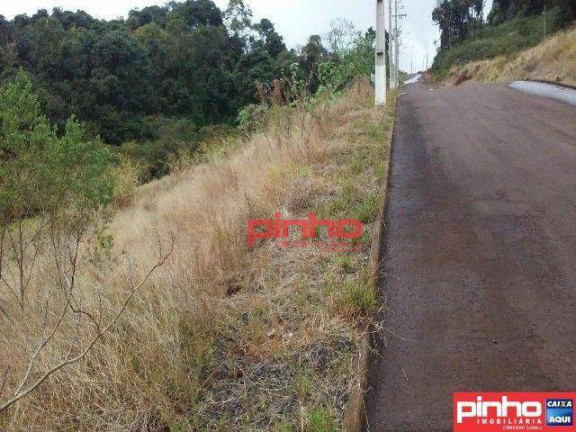 Imagem Terreno à Venda, 1 m² em Centro - Cordilheira Alta Imagem Terreno à Venda, 1 m² em Centro - Cordilheira Alta