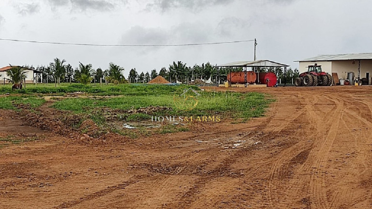 Imagem Imóvel com 3 Quartos à Venda, 23.000 m² em Centro - São Félix De Balsas Imagem Imóvel com 3 Quartos à Venda, 23.000 m² em Centro - São Félix De Balsas