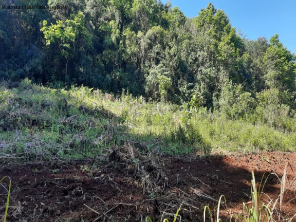 Imagem Terreno à Venda, 3 m² em São Jacó - Nova Petrópolis Imagem Terreno à Venda, 3 m² em São Jacó - Nova Petrópolis