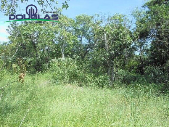 Imagem Imóvel Comercial à Venda, 13 m² em Viamão Imagem Imóvel Comercial à Venda, 13 m² em Viamão