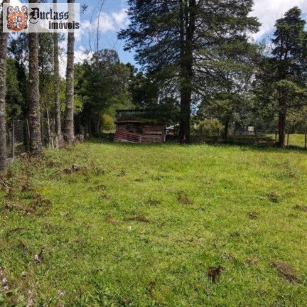 Imagem Terreno à Venda, 1.330 m² em Jardim Do Embaixador - Campos Do Jordão