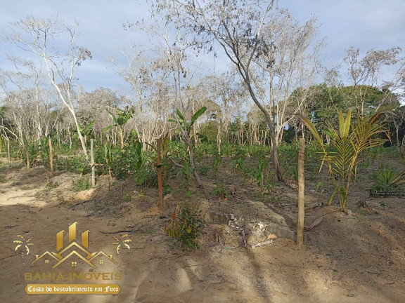Imagem Chácara à Venda, em Br 367 - Porto Seguro Imagem Chácara à Venda, em Br 367 - Porto Seguro