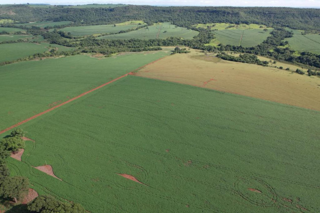 Imagem Fazenda à Venda, 160 m² em Zona Rural - Rio Verde
