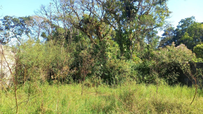 Imagem Terreno à Venda, 396 m² em Jardim Fenix - Itanhaém Imagem Terreno à Venda, 396 m² em Jardim Fenix - Itanhaém