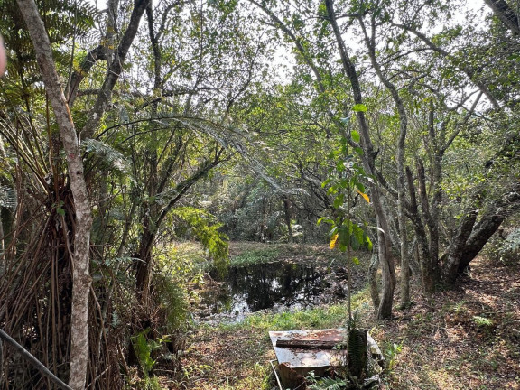 Imagem Casa com 4 Quartos à Venda, 200 m² em Bela Vista - Bofete