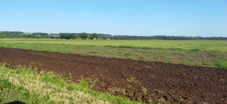 Imagem Fazenda à Venda, 776 m² em Rural - Guia Lopes Da Laguna Imagem Fazenda à Venda, 776 m² em Rural - Guia Lopes Da Laguna