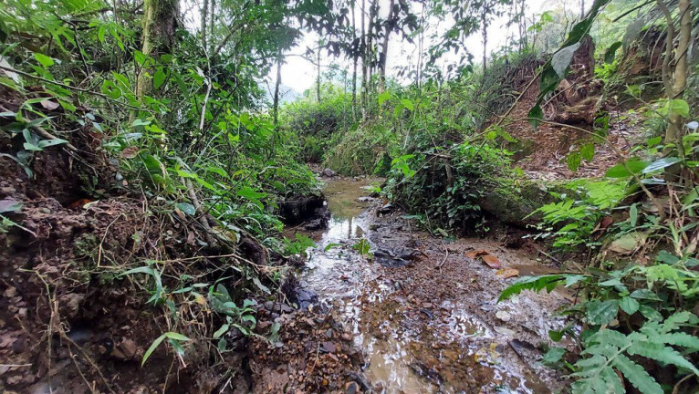 Imagem Imóvel à Venda, 20.000 m² em Zona Rural - Agrolândia Imagem Imóvel à Venda, 20.000 m² em Zona Rural - Agrolândia