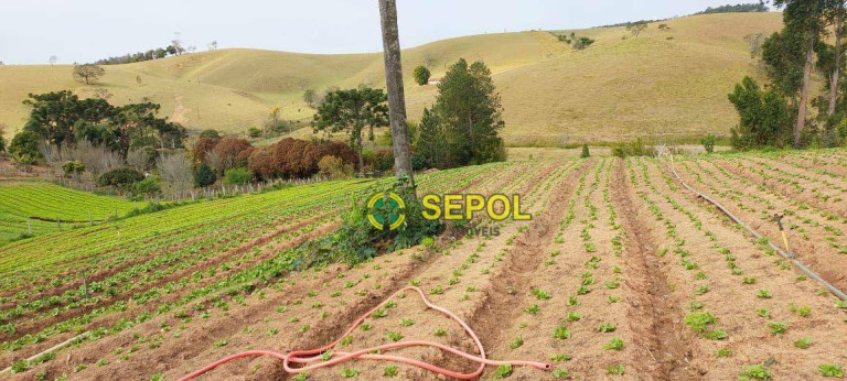 Imagem Terreno à Venda, 19.000 m² em Jardim Do Pinhal - Pinhalzinho Imagem Terreno à Venda, 19.000 m² em Jardim Do Pinhal - Pinhalzinho