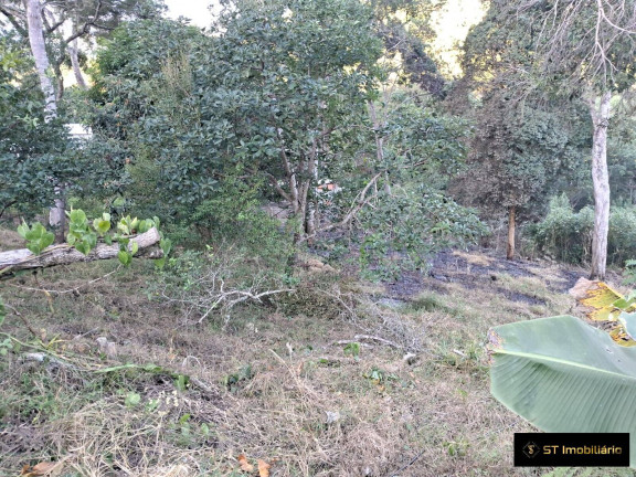 Imagem Terreno à Venda, 3.600 m² em Pedra Vermelha (terra Preta) - Mairiporã