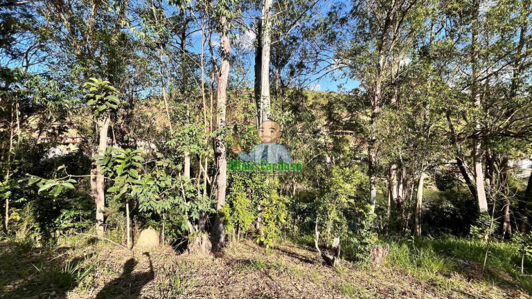 Imagem Chácara à Venda, 8.000 m² em Centro - Paraibuna Imagem Chácara à Venda, 8.000 m² em Centro - Paraibuna