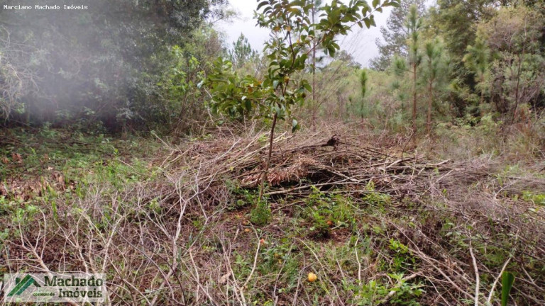 Imagem Terreno à Venda, 20.000 m² em Rural - Itaara Imagem Terreno à Venda, 20.000 m² em Rural - Itaara