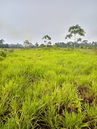 Imagem Fazenda à Venda, 101 m² em Aripuanã Imagem Fazenda à Venda, 101 m² em Aripuanã