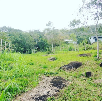 Imagem Terreno à Venda, 2.000 m² em Macacu - Garopaba Imagem Terreno à Venda, 2.000 m² em Macacu - Garopaba
