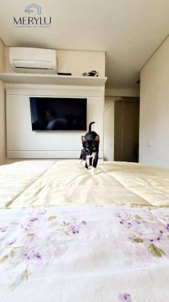 Imagem Apartamento com 3 Quartos à Venda, 100 m² em Chácara Inglesa - São Paulo Imagem Apartamento com 3 Quartos à Venda, 100 m² em Chácara Inglesa - São Paulo