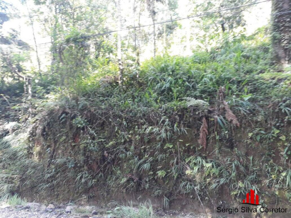 Terreno à Venda, 1 m² em Vila Capivari - Campos Do Jordão
