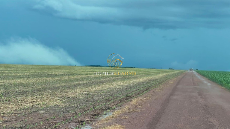 Imagem Imóvel com 3 Quartos à Venda, 7.546 m² em Zona Rural - Nobres Imagem Imóvel com 3 Quartos à Venda, 7.546 m² em Zona Rural - Nobres