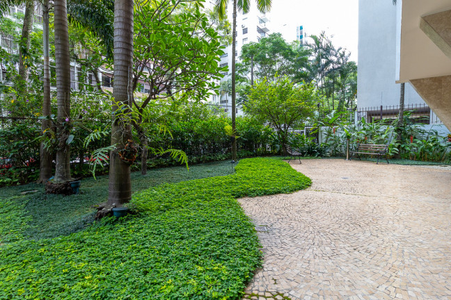 Imagem Apartamento com 4 Quartos à Venda, 253 m² em Higienópolis - São Paulo