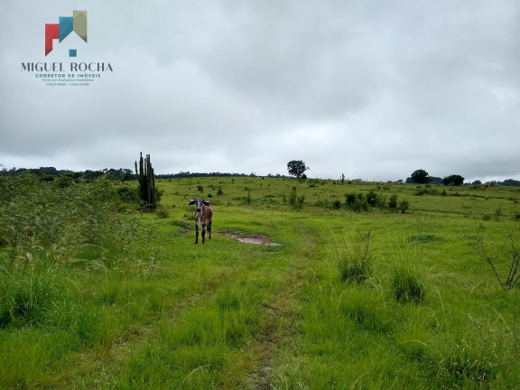Imagem Imóvel à Venda, 205.700 m² em Centro - Quadra