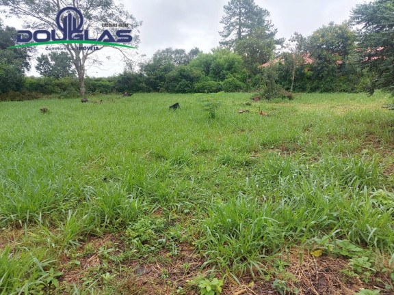 Imagem Terreno à Venda, 600 m² em águas Claras - Viamão Imagem Terreno à Venda, 600 m² em águas Claras - Viamão