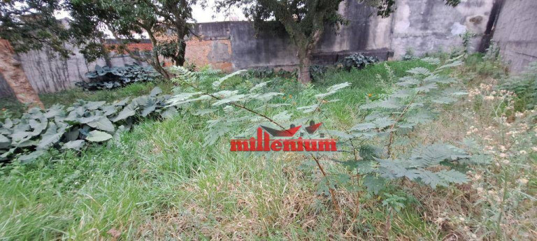 Imagem Terreno à Venda, 1.169 m² em Jardim Jaú - São Paulo Imagem Terreno à Venda, 1.169 m² em Jardim Jaú - São Paulo