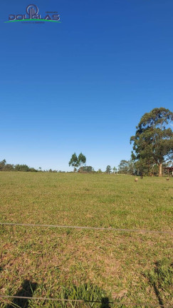 Imagem Terreno à Venda, 1.000 m² em Viamão Imagem Terreno à Venda, 1.000 m² em Viamão