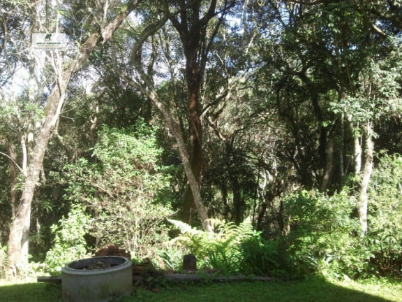 Imagem Chácara com 4 Quartos à Venda, 2.940 m² em Caetê - São Roque Imagem Chácara com 4 Quartos à Venda, 2.940 m² em Caetê - São Roque