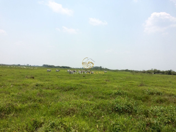Imagem Imóvel com 3 Quartos à Venda, 88.000 m² em Zona Rural - Poconé Imagem Imóvel com 3 Quartos à Venda, 88.000 m² em Zona Rural - Poconé