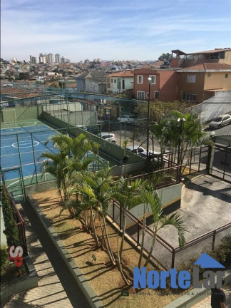 Imagem Apartamento com 2 Quartos à Venda, 54 m² em Vila Palmeiras - São Paulo