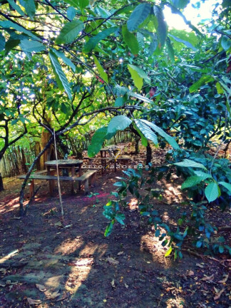 Imagem Imóvel com 2 Quartos à Venda, 77 m² em Ba 101 - Buerarema Imagem Imóvel com 2 Quartos à Venda, 77 m² em Ba 101 - Buerarema