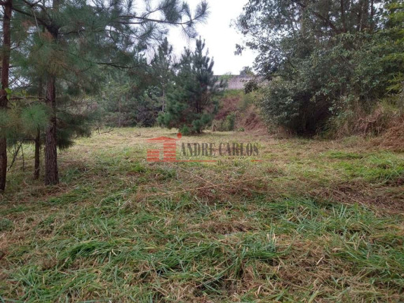 Imagem Terreno à Venda, 10.321 m² em Jardim Guerreiro - Cotia Imagem Terreno à Venda, 10.321 m² em Jardim Guerreiro - Cotia