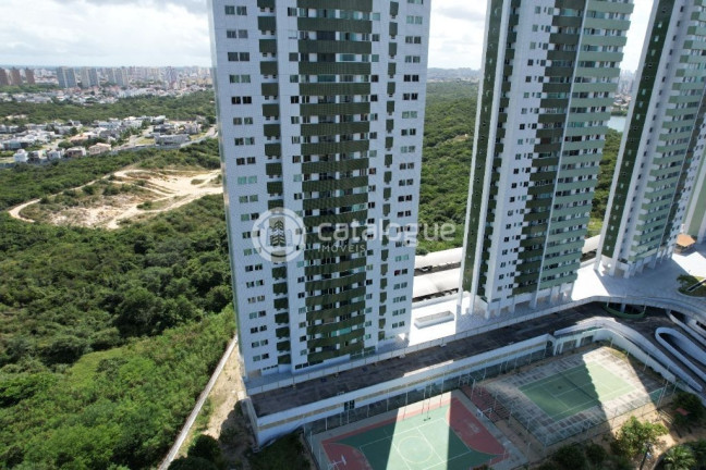 Imagem Apartamento com 2 Quartos para Alugar, 55 m² em Ponta Negra - Natal Imagem Apartamento com 2 Quartos para Alugar, 55 m² em Ponta Negra - Natal