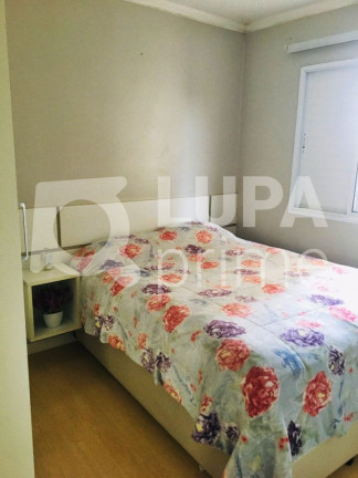 Imagem Apartamento com 2 Quartos à Venda, 52 m² em Cangaíba - São Paulo Imagem Apartamento com 2 Quartos à Venda, 52 m² em Cangaíba - São Paulo