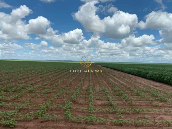 Imagem Imóvel com 3 Quartos à Venda, 16.943 m² em Zona Rural - Primavera Do Leste Imagem Imóvel com 3 Quartos à Venda, 16.943 m² em Zona Rural - Primavera Do Leste