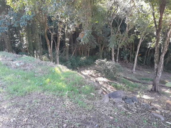 Imagem Terreno à Venda, 328 m² em Jardim Secol - Piedade