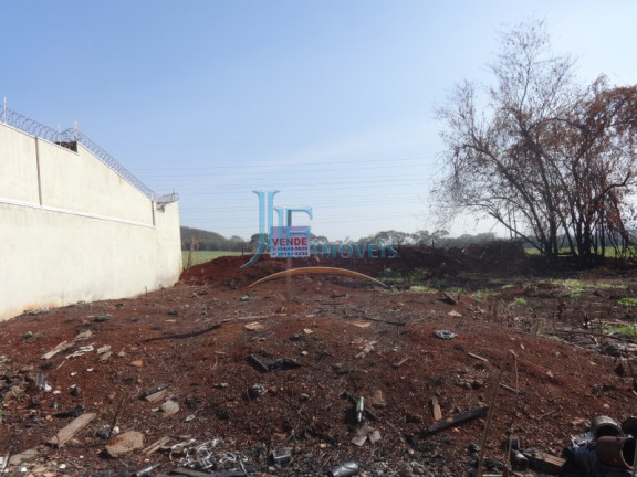 Imagem Terreno à Venda, 250 m² em Jardim Palmares - Ribeirão Preto Imagem Terreno à Venda, 250 m² em Jardim Palmares - Ribeirão Preto