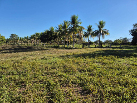 Imagem Fazenda à Venda, 350 m² em Cuiabá