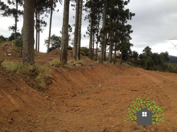 Imagem Terreno à Venda, 2 m² em Granja Viana - Cotia Imagem Terreno à Venda, 2 m² em Granja Viana - Cotia