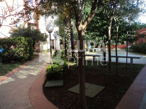 Imagem Apartamento com 3 Quartos à Venda, 60 m² em Lauzane Paulista - São Paulo Imagem Apartamento com 3 Quartos à Venda, 60 m² em Lauzane Paulista - São Paulo
