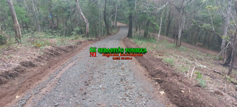 Chácara à Venda, 20.000 m² em Centro - Monteiro Lobato