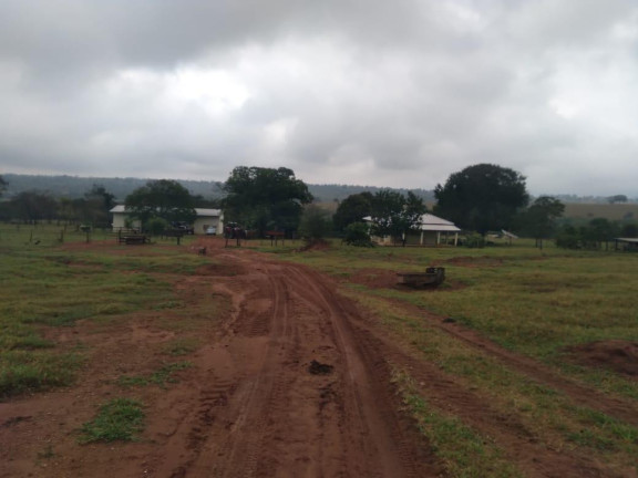 Imagem Fazenda à Venda, 730 m² em Rural - Corguinho Imagem Fazenda à Venda, 730 m² em Rural - Corguinho