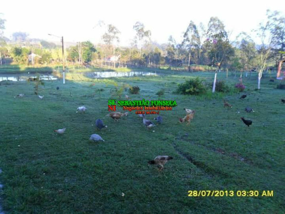 Imagem Chácara à Venda, 13.000 m² em Centro - Caçapava