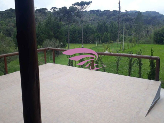 Imagem Imóvel à Venda, 25.892 m² em Borda Do Campo - São José Dos Pinhais Imagem Imóvel à Venda, 25.892 m² em Borda Do Campo - São José Dos Pinhais