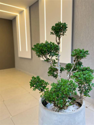 Imagem Casa de Condomínio com 2 Quartos à Venda, 10 m² em Maracanã - Praia Grande Imagem Casa de Condomínio com 2 Quartos à Venda, 10 m² em Maracanã - Praia Grande