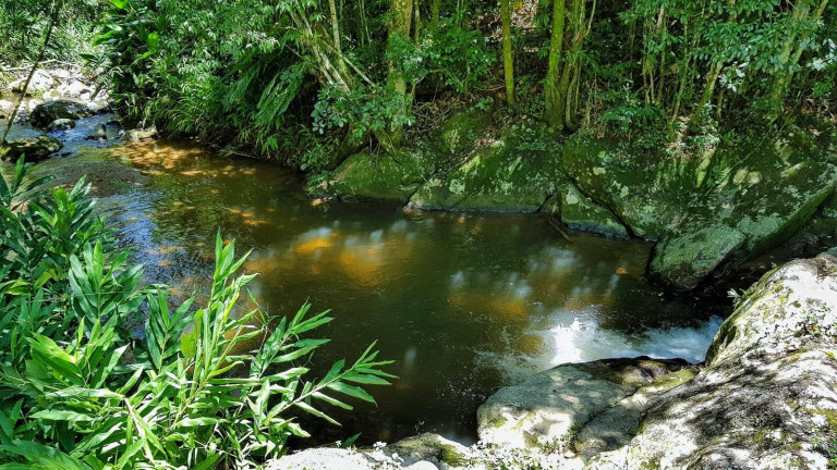 Imagem Chácara à Venda, 330 m² em Palhoça
