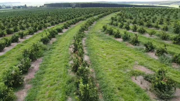 Imagem Fazenda à Venda, 121 m² em Rio Pardo - águas De Santa Bárbara