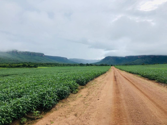 Imagem Imóvel à Venda,  em Nordeste Do Tocantins - Santa Rosa Do Tocantins