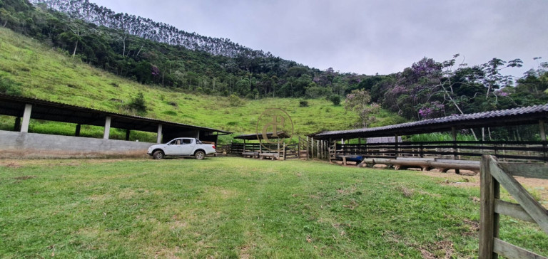 Imagem Fazenda à Venda, 400 m² em Pouso Altinho - Natividade Da Serra Imagem Fazenda à Venda, 400 m² em Pouso Altinho - Natividade Da Serra