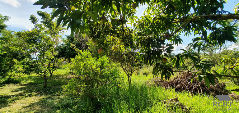 Imagem Imóvel com 3 Quartos à Venda, em Cidade Jardim - Esmeraldas Imagem Imóvel com 3 Quartos à Venda, em Cidade Jardim - Esmeraldas